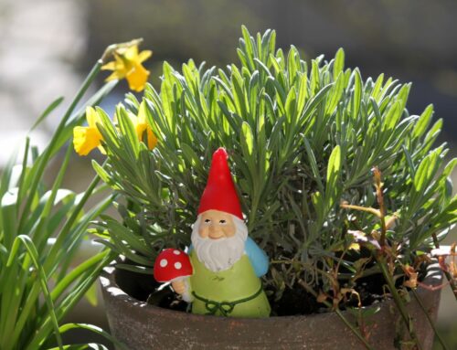 Spring Outdoors