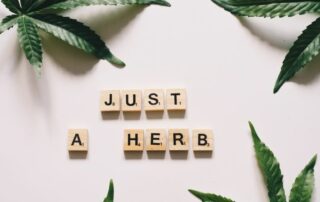 tiles on table with marijuana leaves