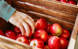 apples in box