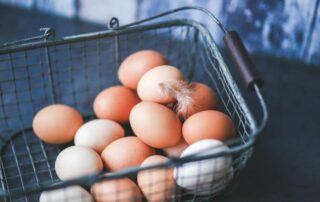 fresh eggs in wire basket with feather