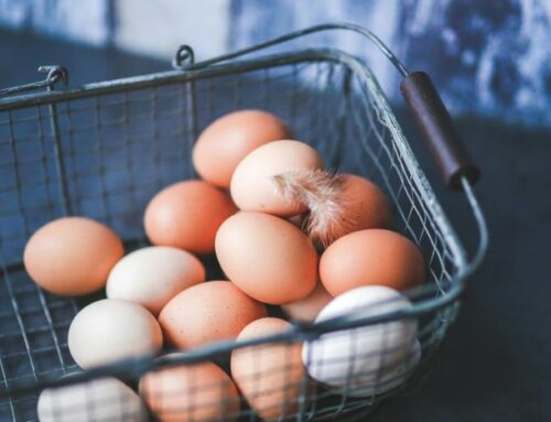 Crack Open the Egg
