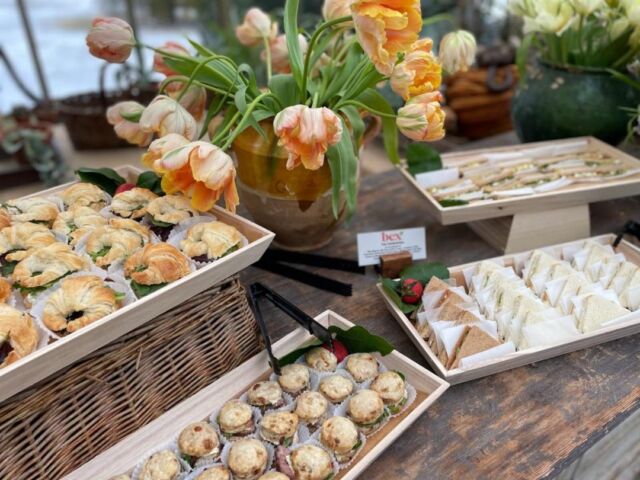 Spring into health this season! Nourish, move, and meditate with us! #WellnessJourney #SpringVibes #bexheatlhylifestyle #bexwellness #bexcatering 
https://conta.cc/42sv9Tf